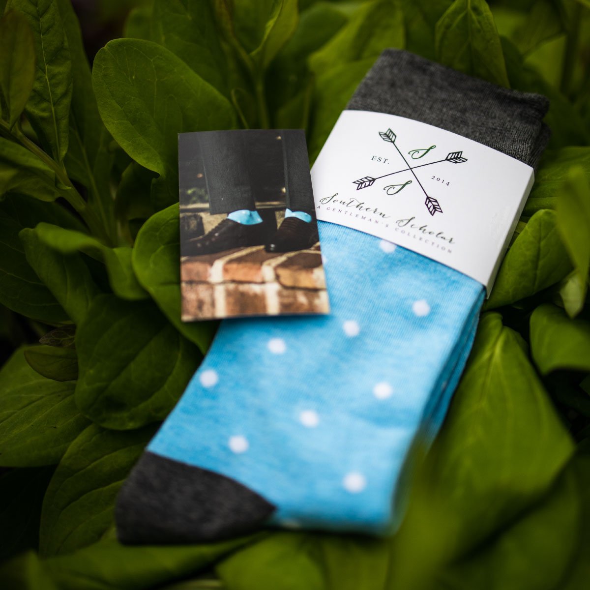 A pair of baby blue socks with white polka dots sitting on green leafs